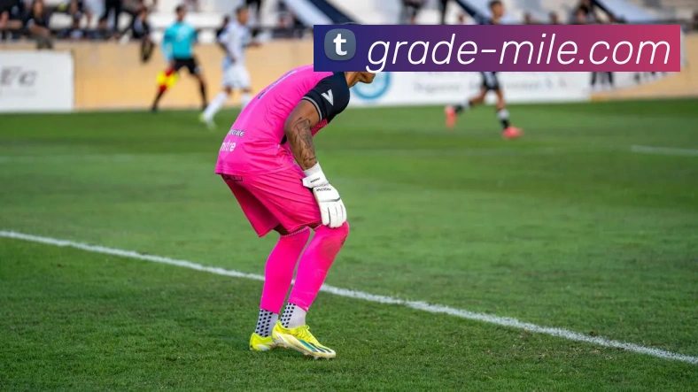 App Interface Preview